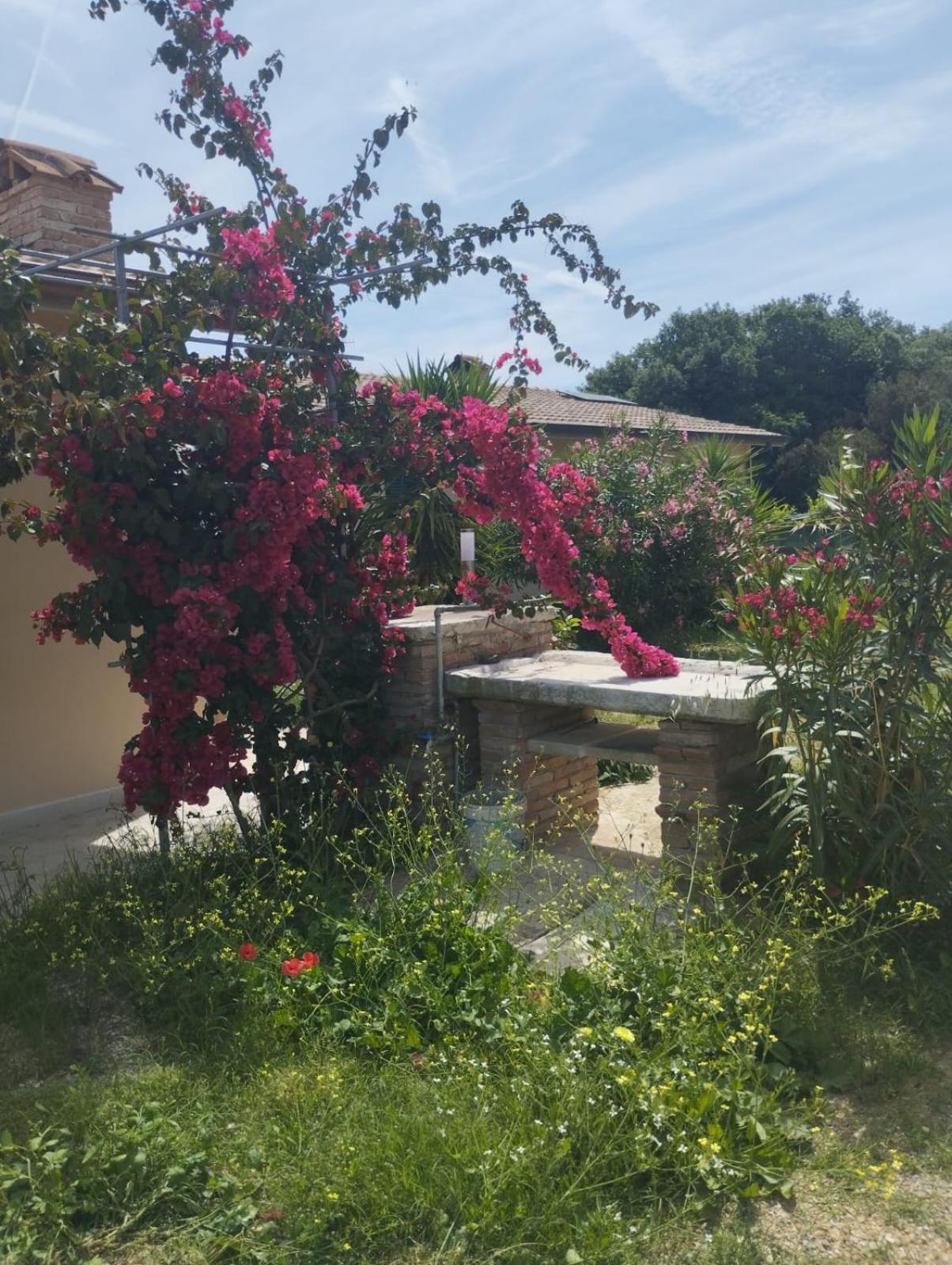 Appartamenti Mirella Capoliveri  Esterno foto
